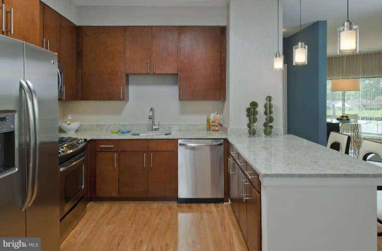 8005 13th Street, Unit 105 Silver Spring, MD 20910 - Photo 5 of 14 Kitchen
