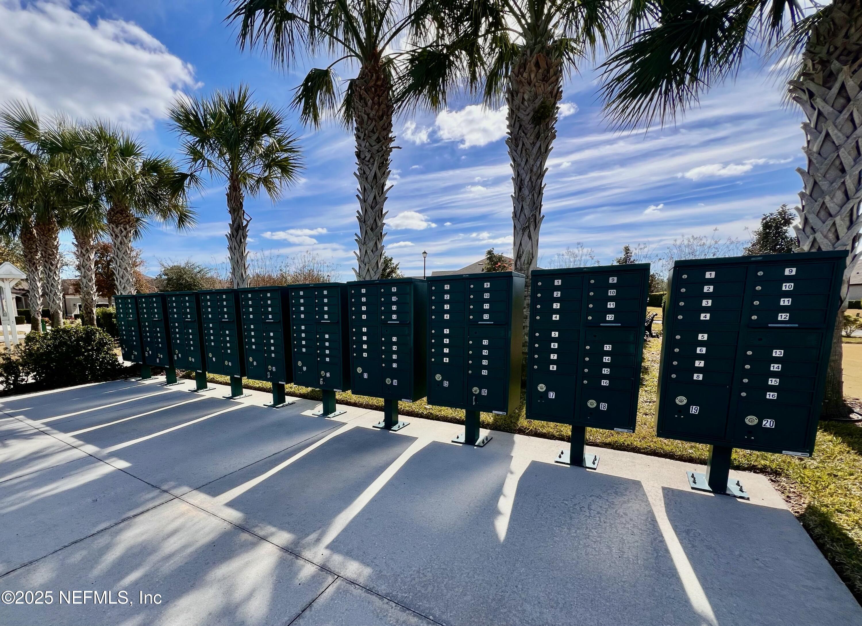 3274 Bailey Ann Drive Ormond Beach, FL 32174 - Photo 42 of 46 a view of a street with palm trees