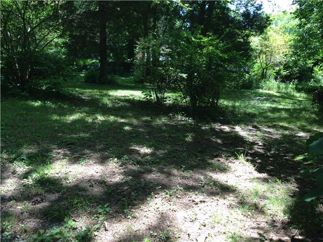 6858 Choctaw Road College Grove, TN 37046 - Photo 11 of 12 Gallery Image 11