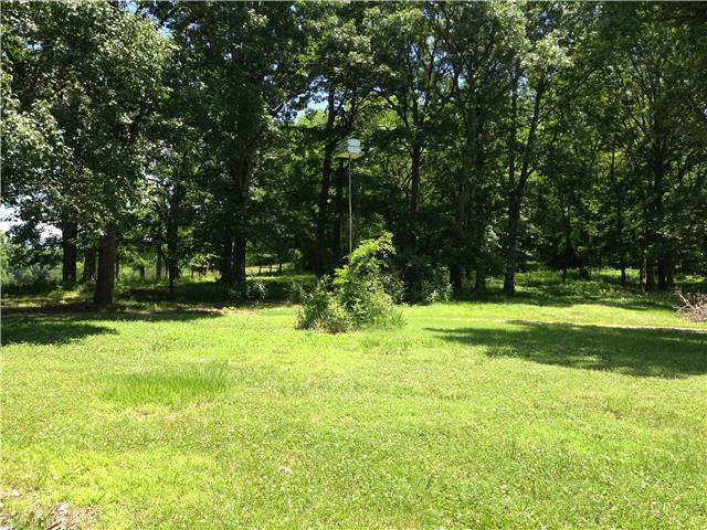 6858 Choctaw Road College Grove, TN 37046 - Photo 12 of 12 Gallery Image 12