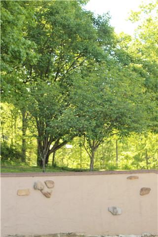 6858 Choctaw Road College Grove, TN 37046 - Photo 10 of 12 Come visit. You'll love the peace and quiet on Chowtaw Road, it's closer to the community of Bethesda than College Grove.