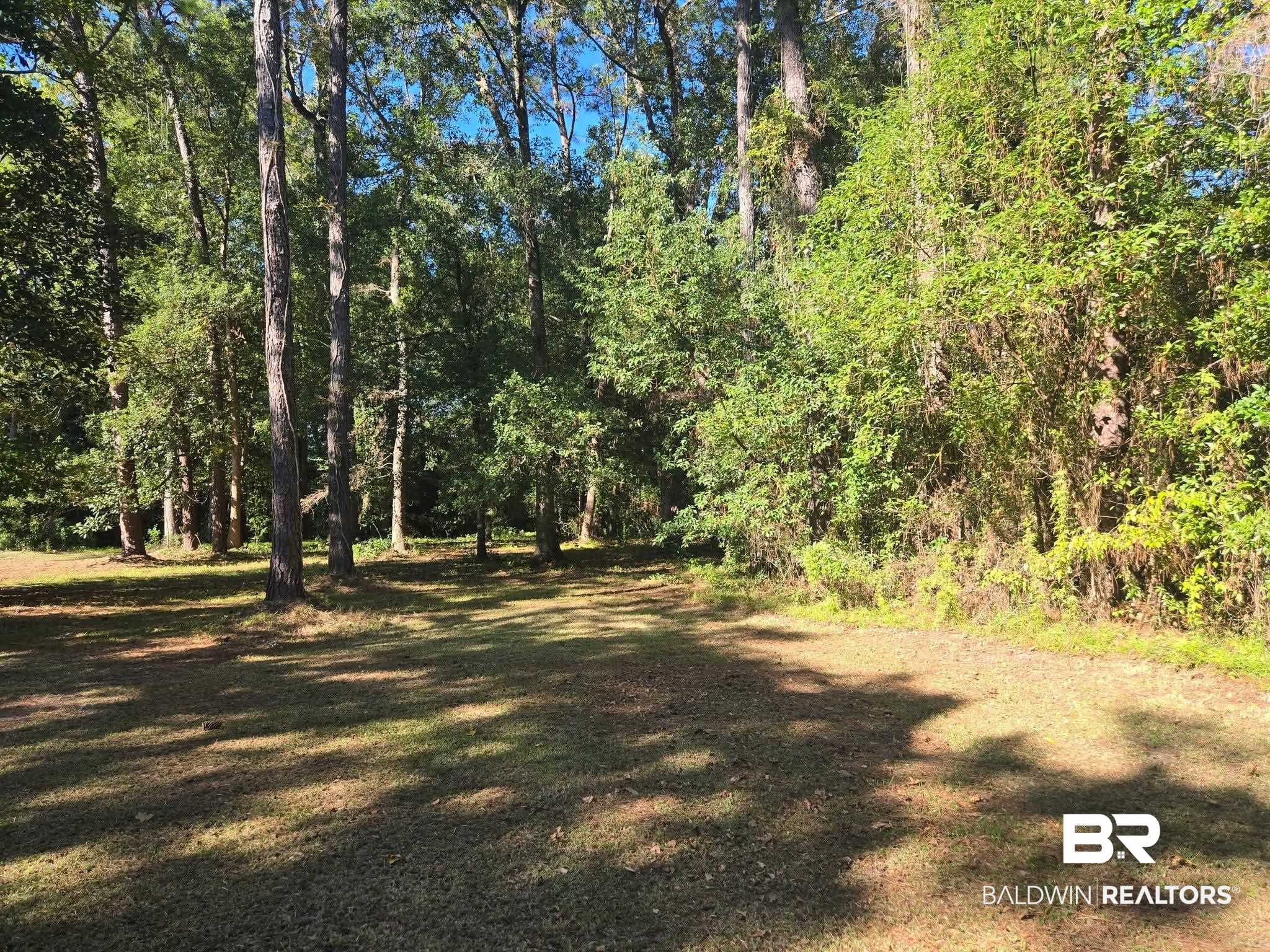 2554 Riverside Drive Mobile, AL 36605 - Photo 4 of 43 View of local wilderness