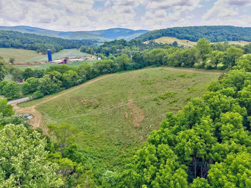 4436 Cedar Springs Road Rural Retreat, VA 24368 - Photo 54 of 78 Gallery Image 54