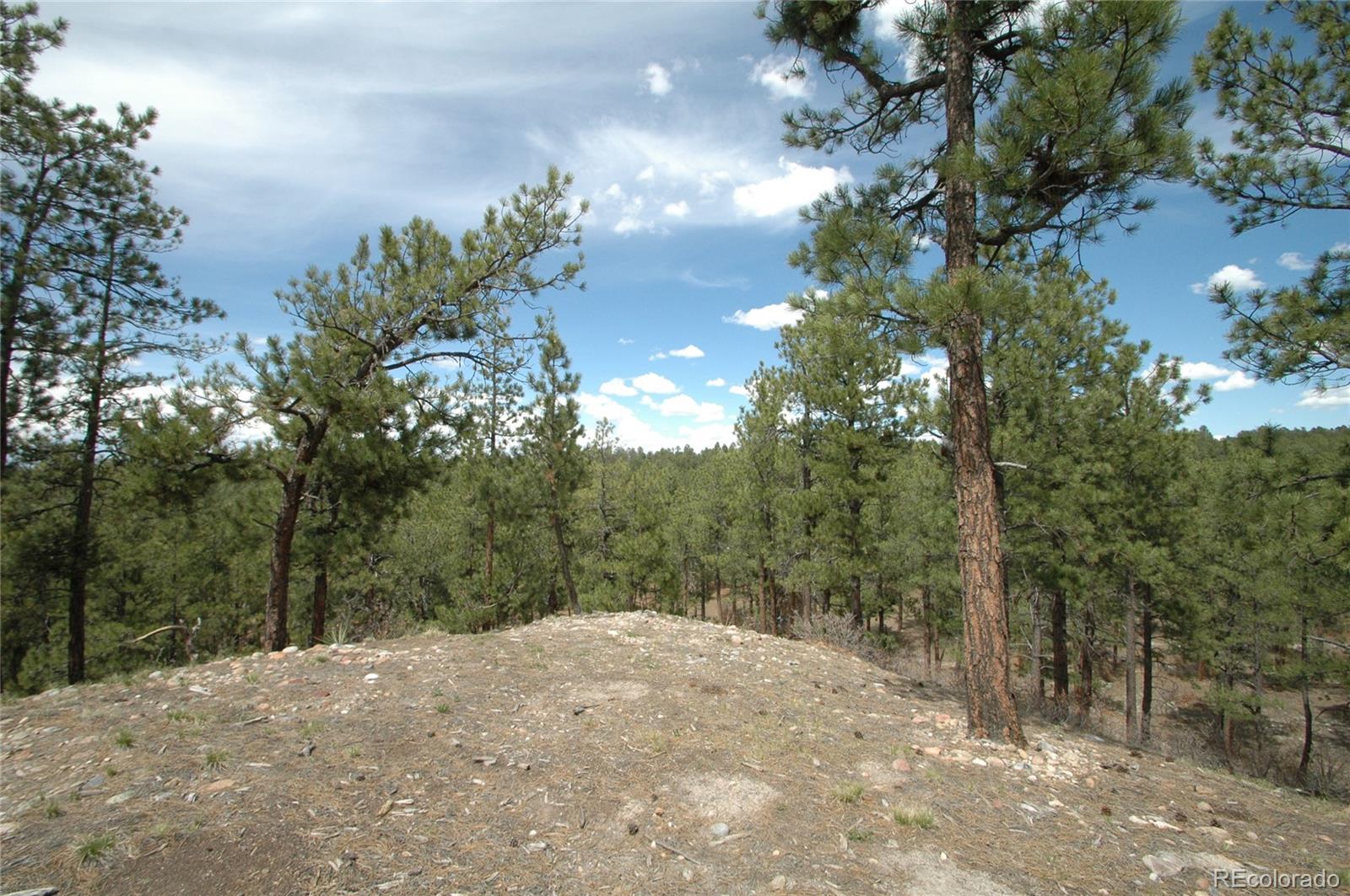856 Woodridge Road Franktown, CO 80116 - Photo 13 of 28 a view of a road with trees in the background