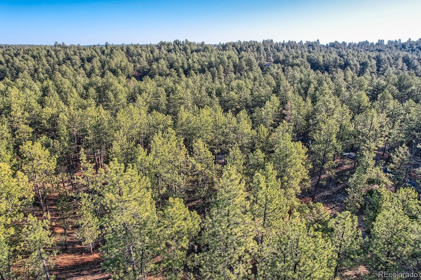 856 Woodridge Road Franktown, CO 80116 - Photo 19 of 28 an aerial view of a houses with a yard