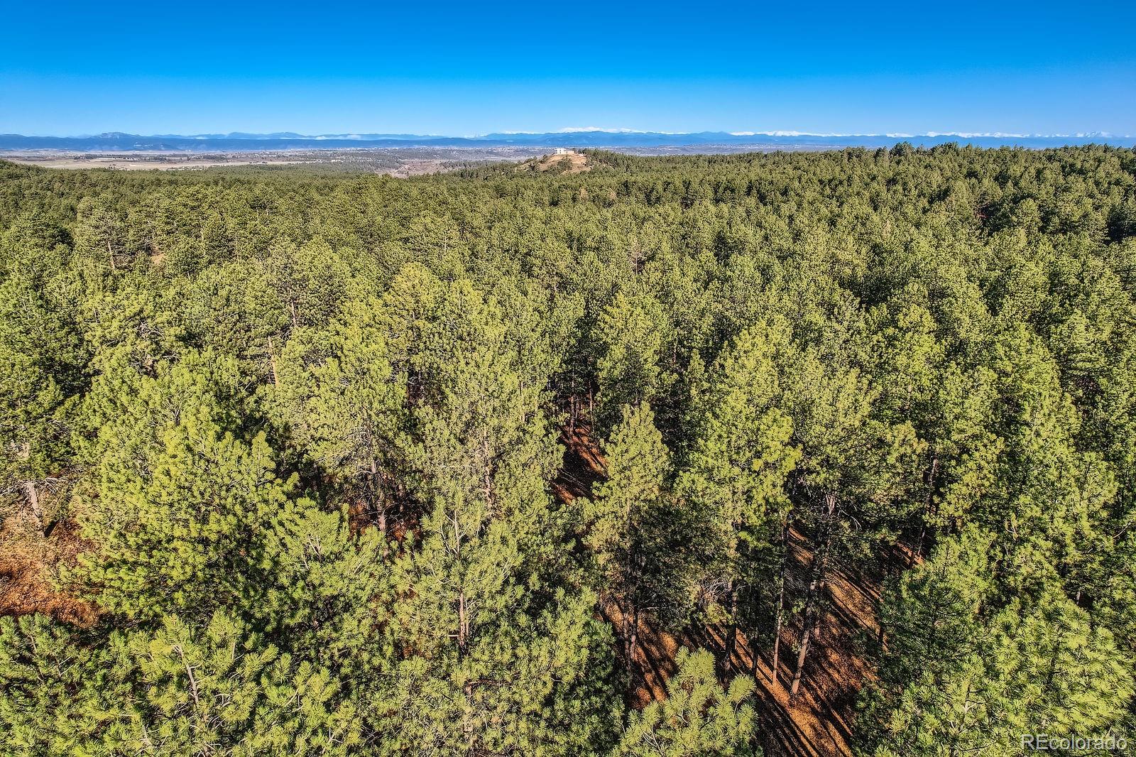 856 Woodridge Road Franktown, CO 80116 - Photo 20 of 28 a view of a field with an outdoor space