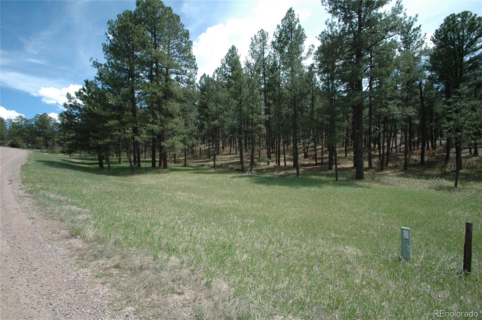 856 Woodridge Road Franktown, CO 80116 - Photo 2 of 28 a view of outdoor space with trees all around