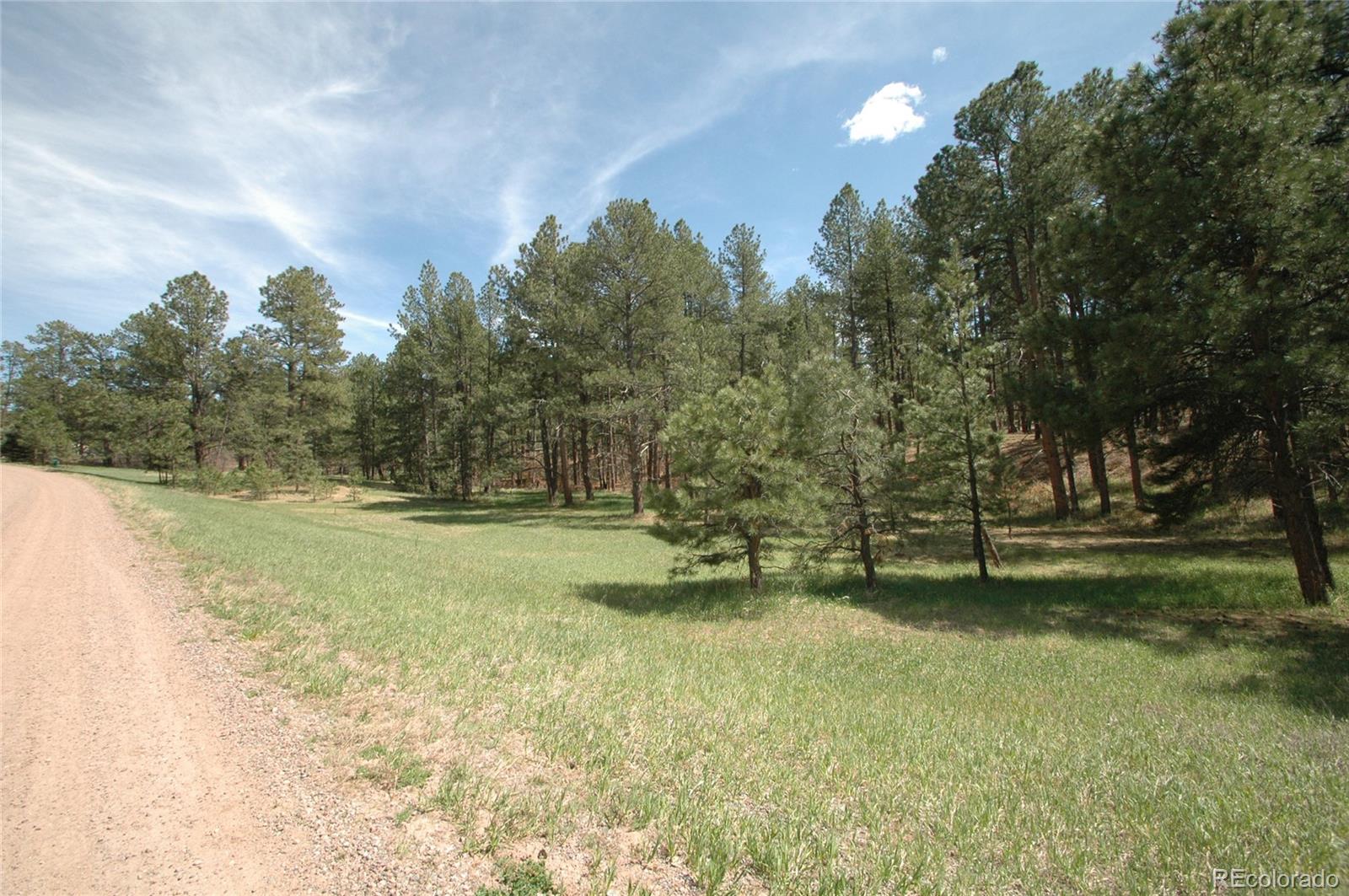 856 Woodridge Road Franktown, CO 80116 - Photo 26 of 28 a view of a yard with large trees