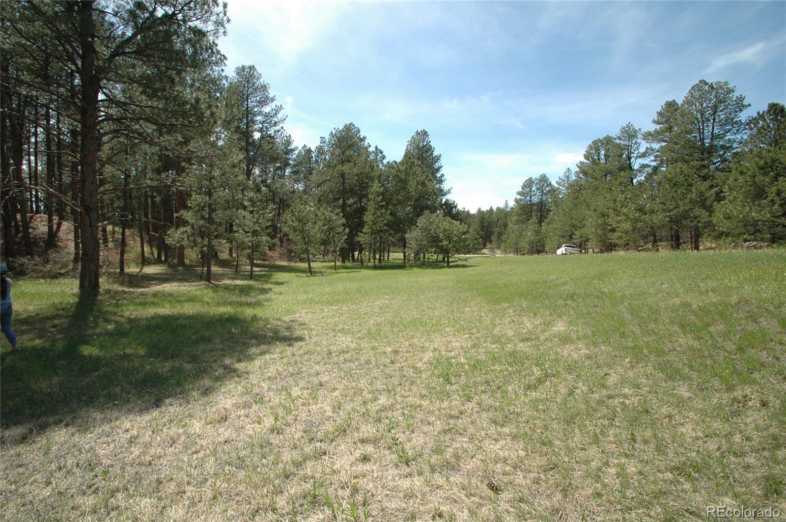 856 Woodridge Road Franktown, CO 80116 - Photo 3 of 28 a view of outdoor space with trees all around