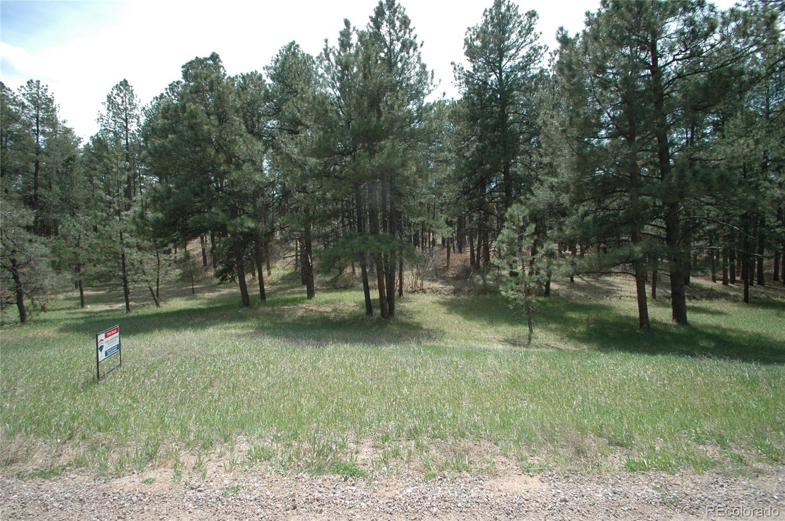 856 Woodridge Road Franktown, CO 80116 - Photo 4 of 28 a fire hydrant in the middle of a field