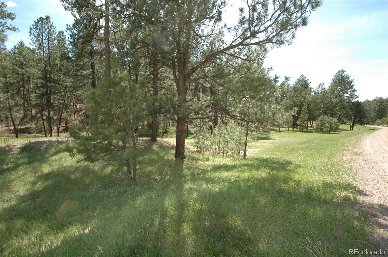 856 Woodridge Road Franktown, CO 80116 - Photo 5 of 28 a view of outdoor space with a garden and trees