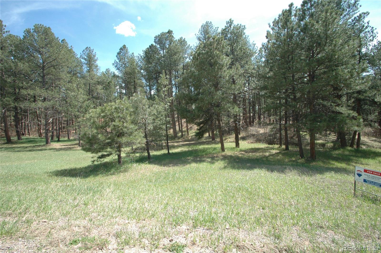 856 Woodridge Road Franktown, CO 80116 - Photo 6 of 28 a view of a park with trees