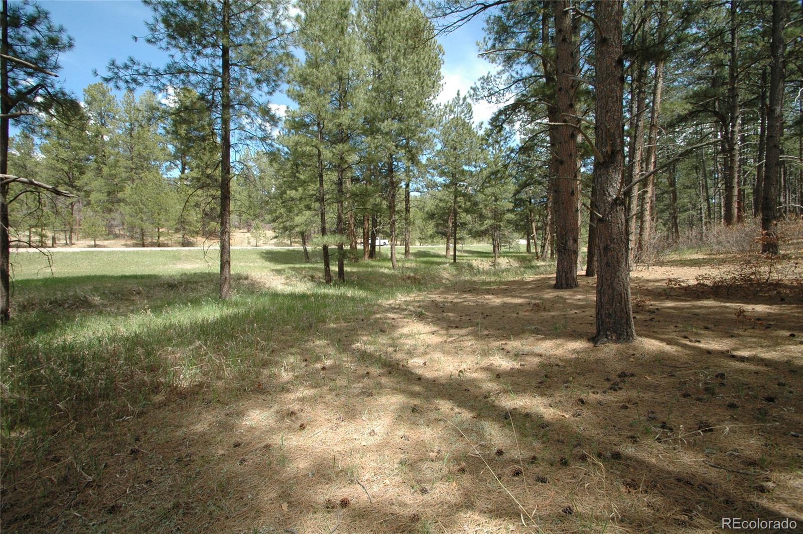 856 Woodridge Road Franktown, CO 80116 - Photo 8 of 28 a view of a tree in a yard
