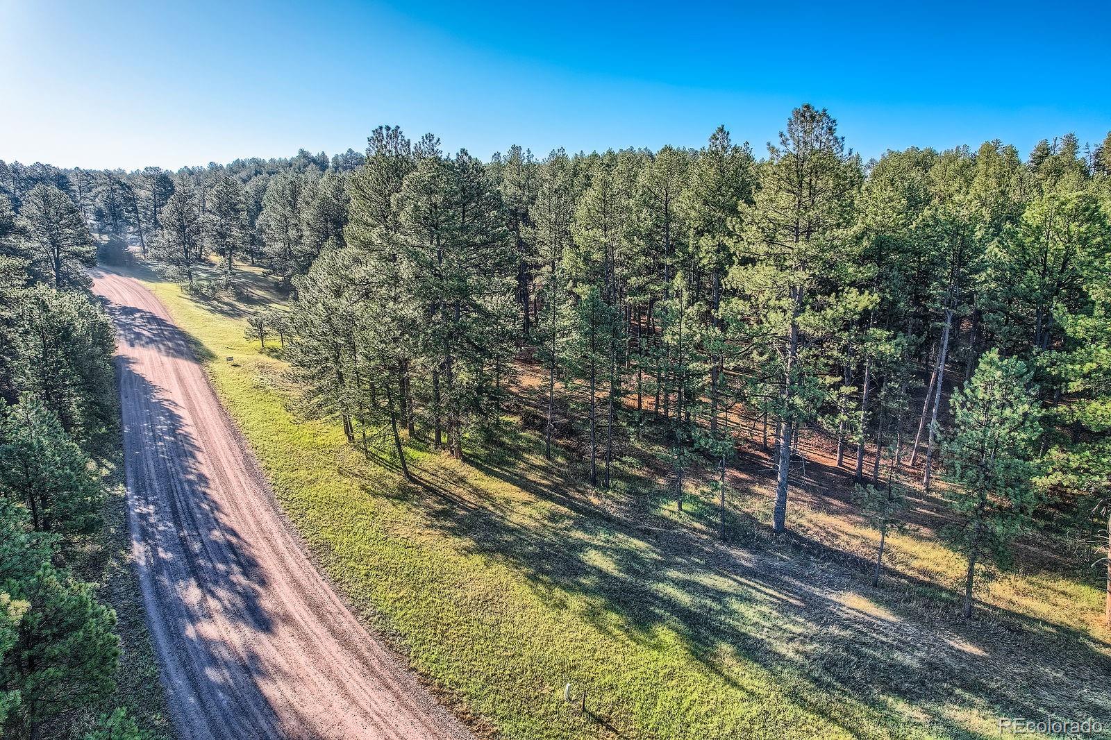 856 Woodridge Road Franktown, CO 80116 - Photo 10 of 28