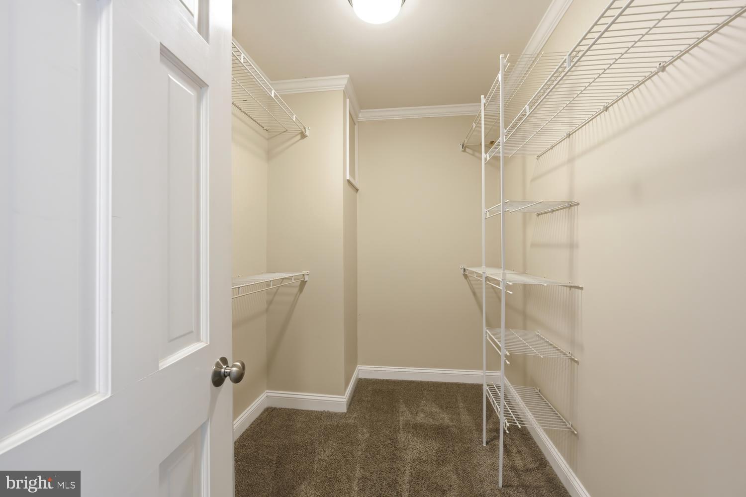 7543 Bozman Neavitt Road Bozman, MD 21612 - Photo 104 of 121