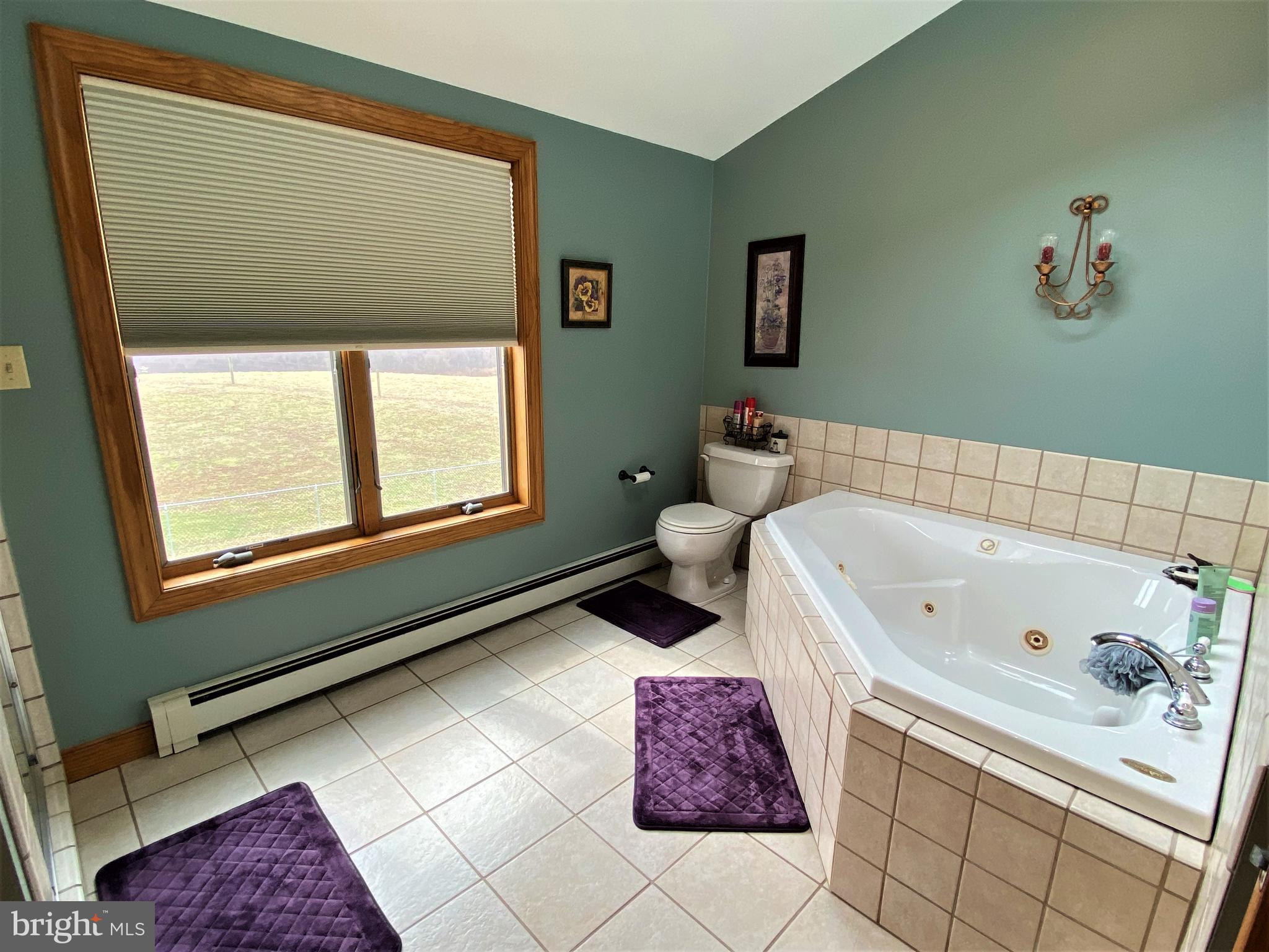 330 Dixon Road Friendsville, MD 21531 - Photo 20 of 48 Gallery Image 20