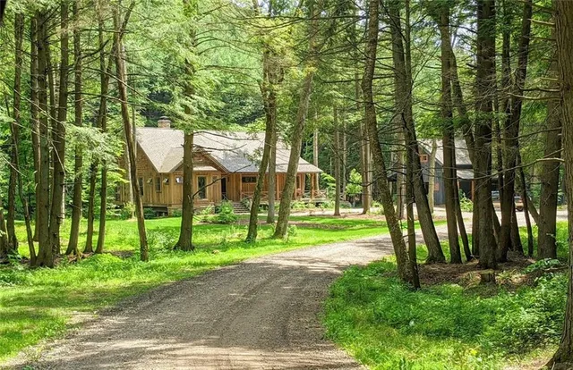 a view of a park with large trees