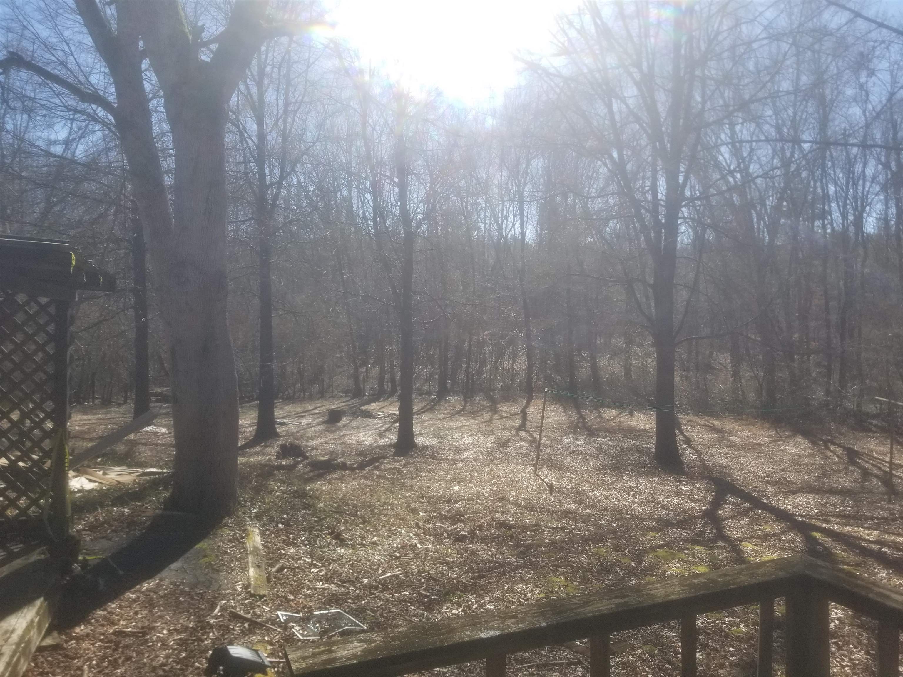 220 Lowery Road Medon, TN 38356 - Photo 10 of 23