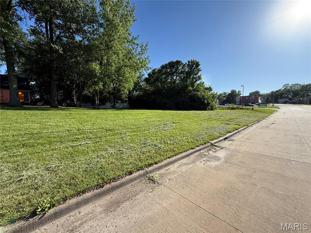 304 East 3rd Street Waterloo, IL 62298 - Photo 2 of 10