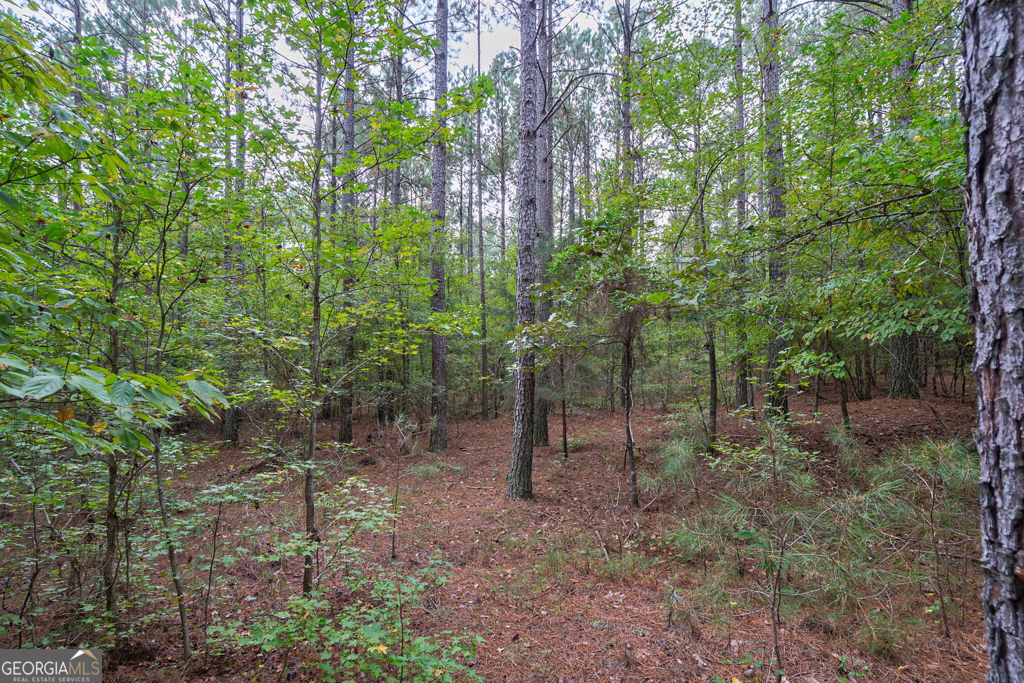 0 Lower Wirebridge Road Stephens, GA 30667 - Photo 23 of 42