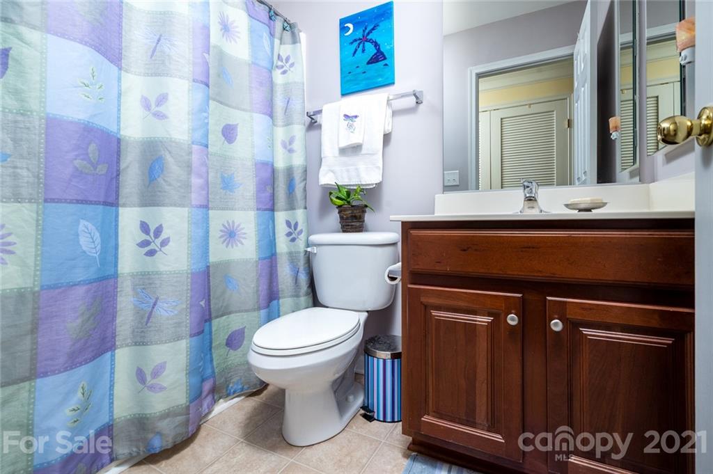 281 Lorraine Road Fort Mill, SC 29708 - Photo 21 of 29 a bathroom with a sink a toilet and shower
