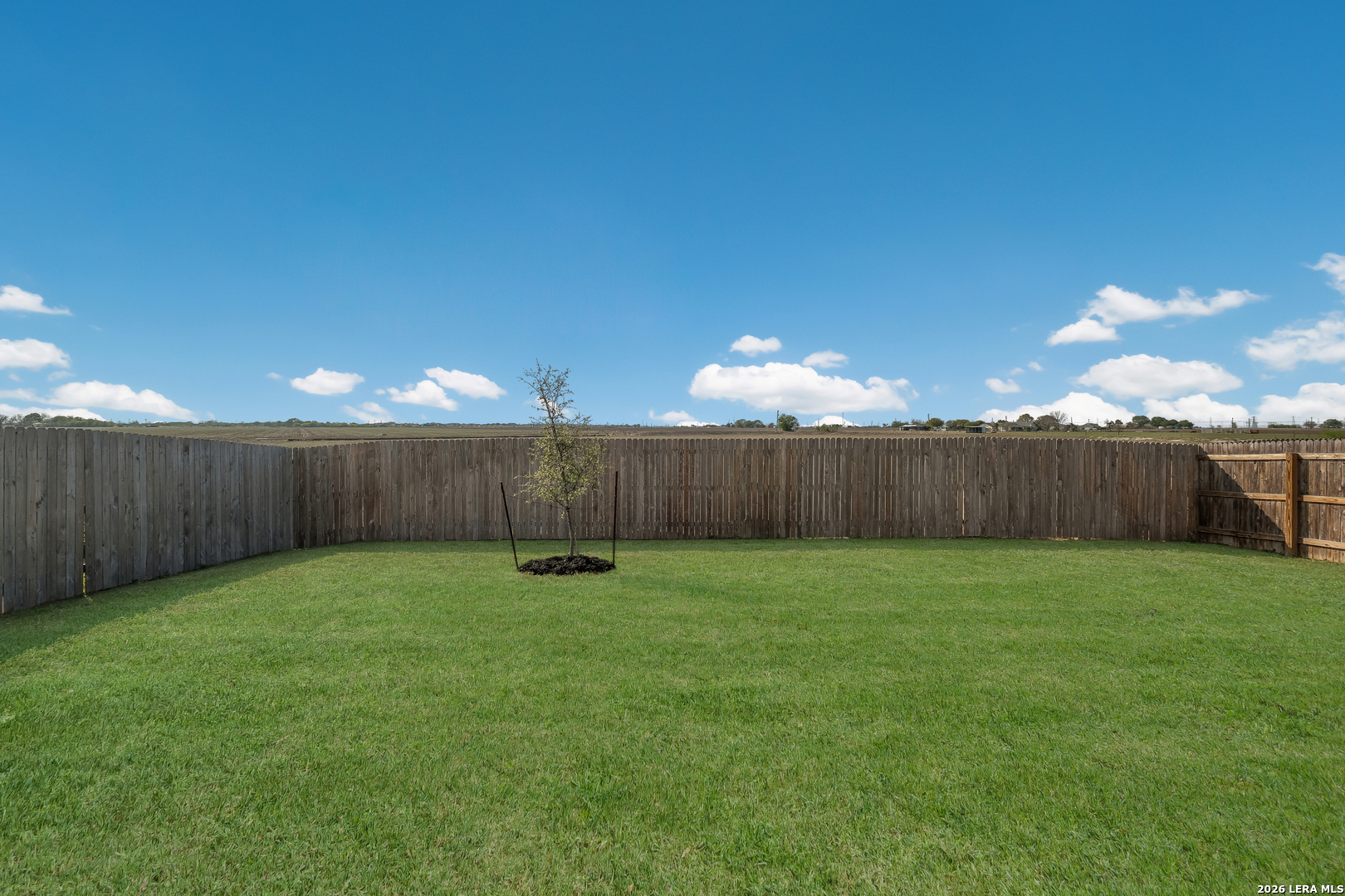 348 Cordova Terrace Seguin, TX 78155 - Photo 29 of 30