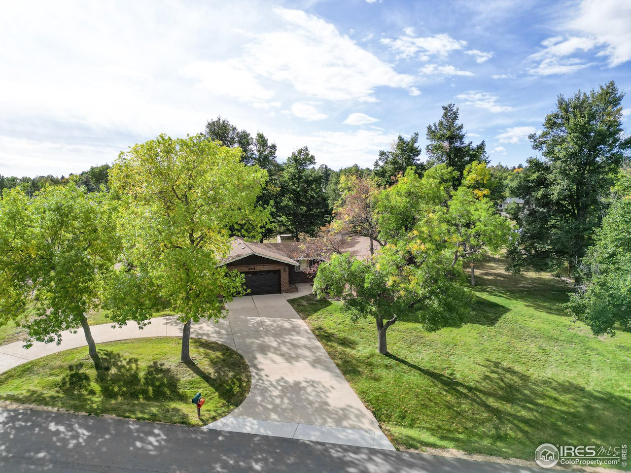 8902 Morton Road Niwot, CO 80503 - Photo 29 of 37 Beautiful mature trees