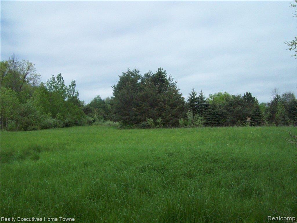 250 South Allen Road St. Clair, MI 48079 - Photo 13 of 24 10.5 Acres!