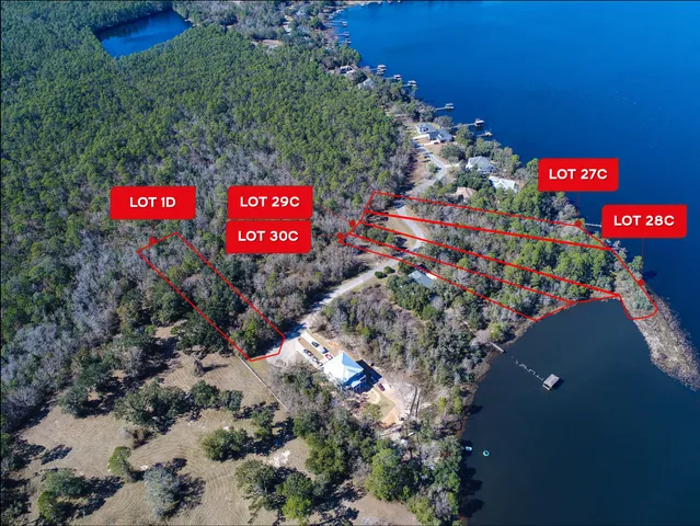 a street sign is sitting in the middle of a garden