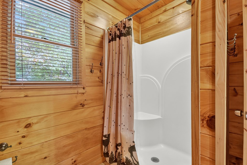 603 Red Berry Ridge Road Blue Ridge, GA 30513 - Photo 61 of 96 Gallery Image 61