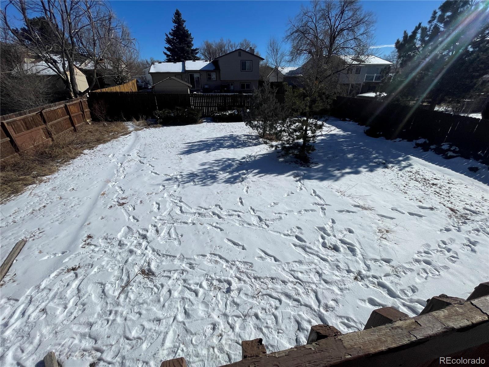 2955 Quincy Place Colorado Springs, CO 80916 - Photo 29 of 33 a view of a backyard of the house