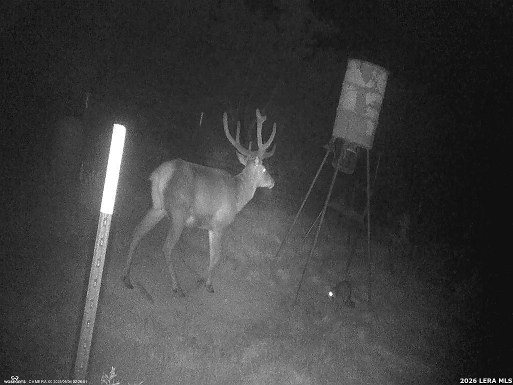 204 Wilson Rand Road Hunt, TX 78024 - Photo 34 of 46