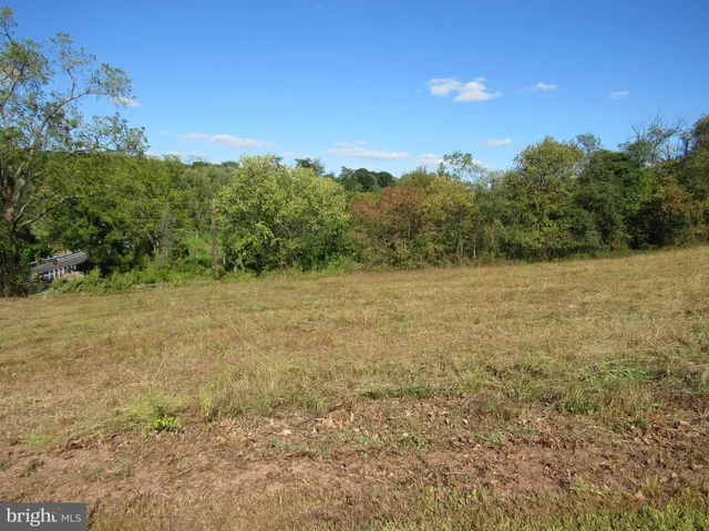 a view of a field with trees in the background