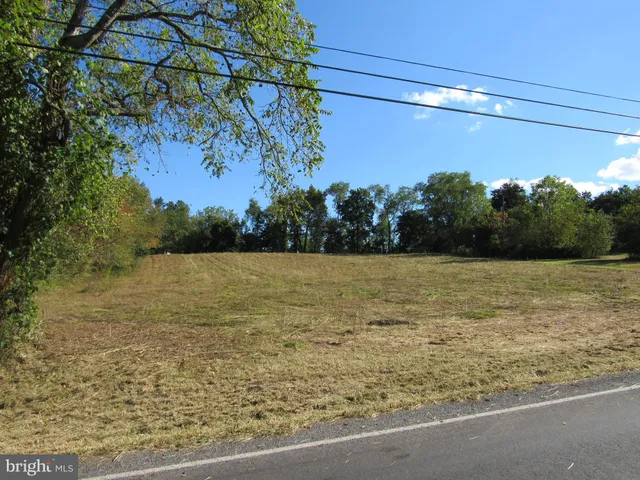 a view of a dry yard with trees