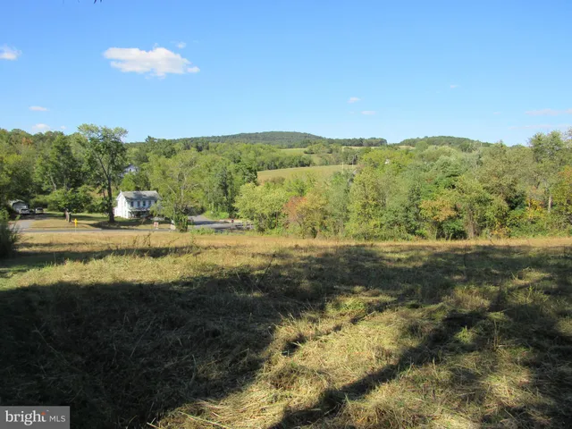 a view of mountain with trees in background