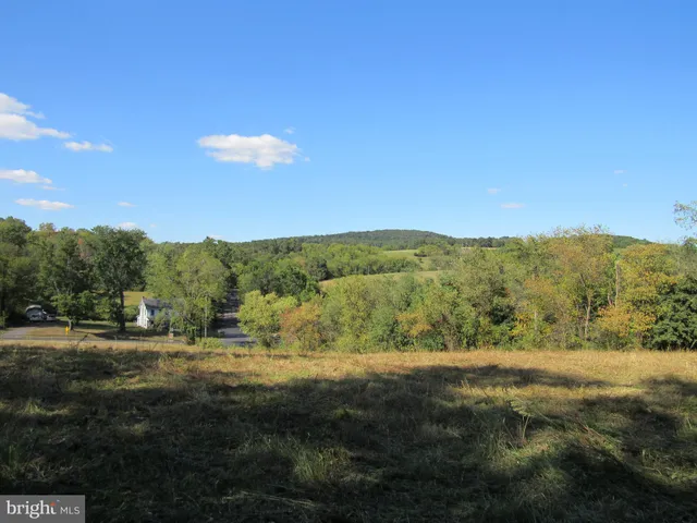 a view of a town with an trees