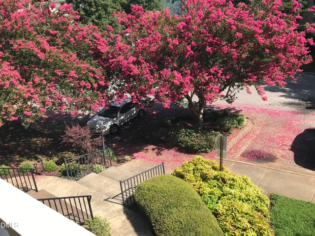a picture of a room with furniture and a potted plant
