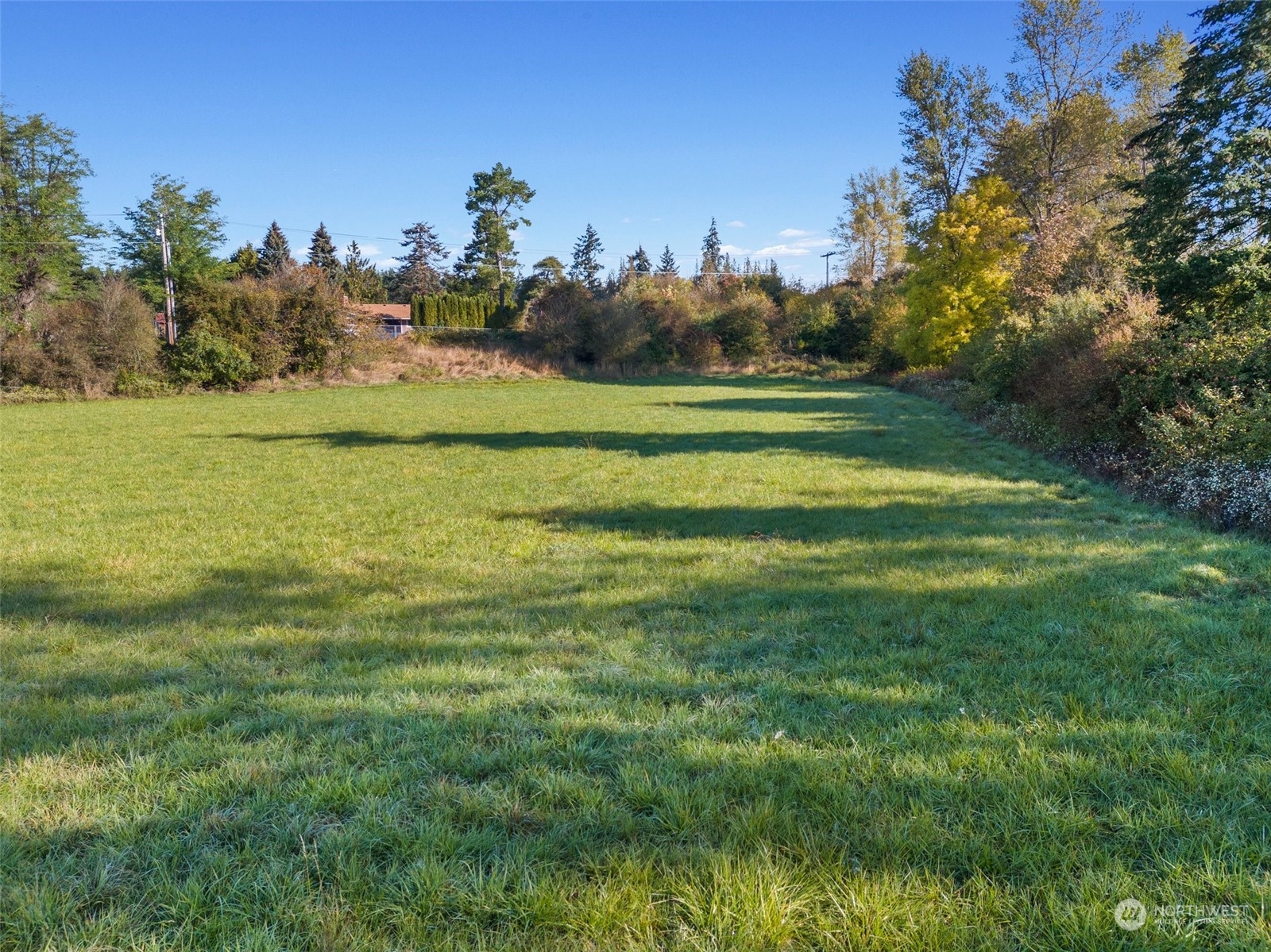 0 188th Avenue Southwest Rochester, WA 98579 - Photo 7 of 15