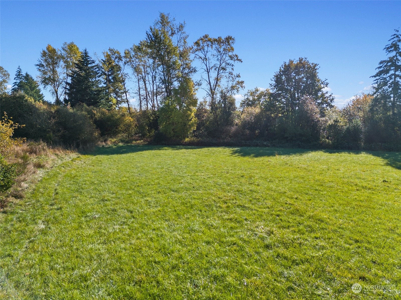 0 188th Avenue Southwest Rochester, WA 98579 - Photo 8 of 15