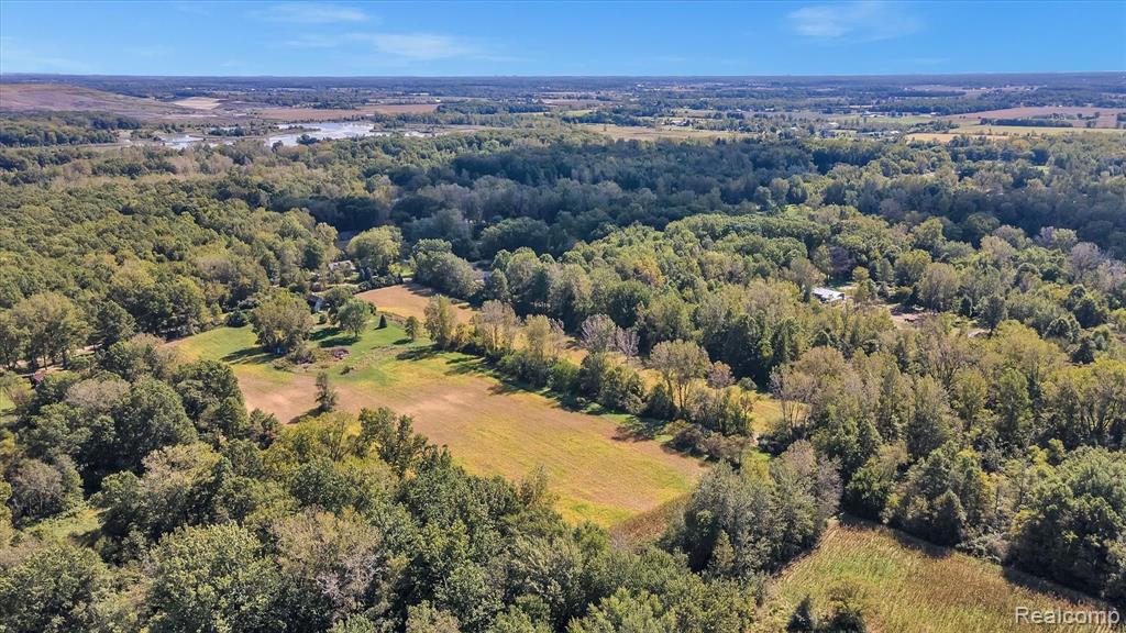 44011 Arkona Road New Boston, MI 48164 - Photo 41 of 43