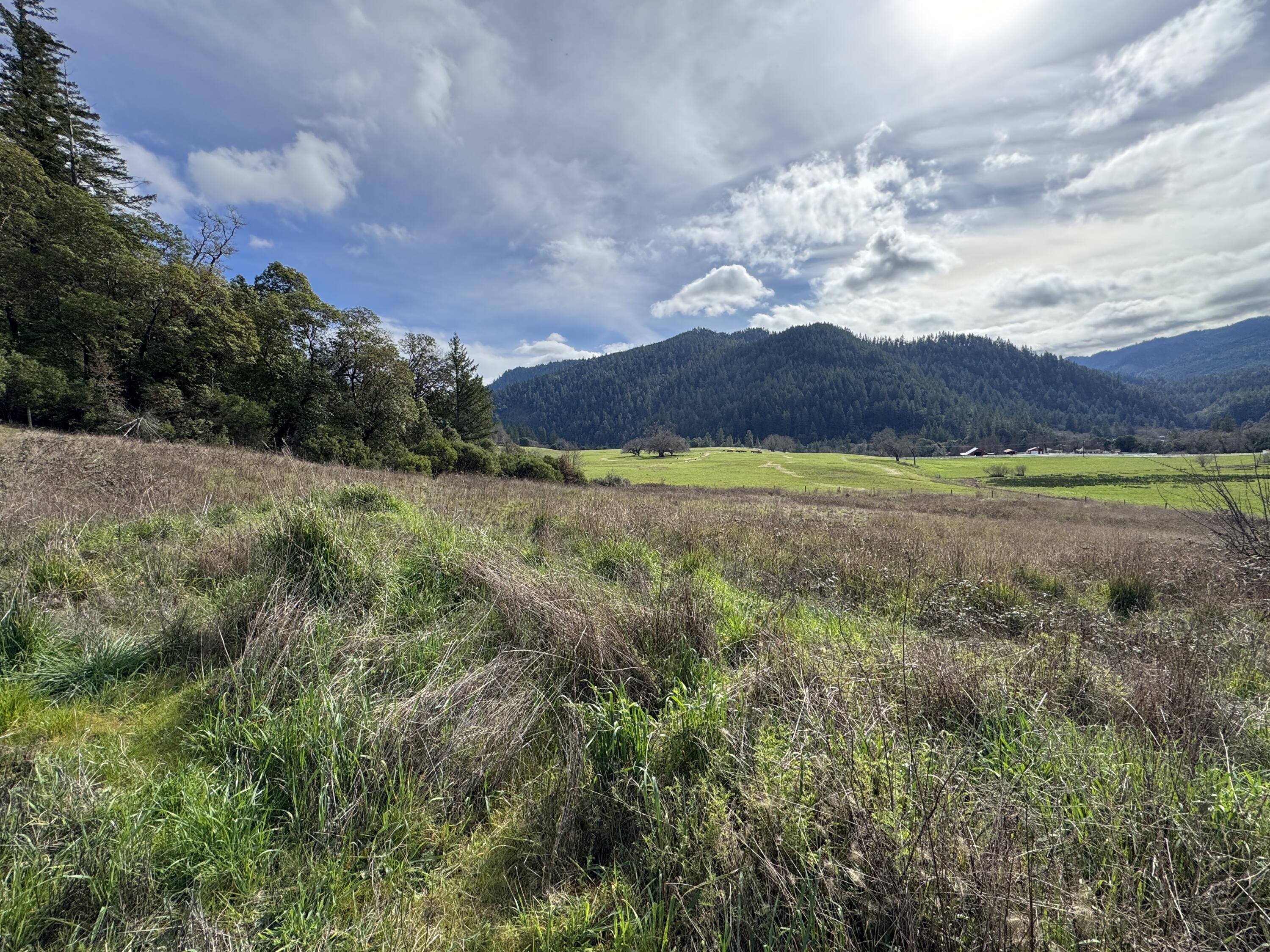 184 Cherry Tree Lane Salyer, CA 95563 - Photo 1 of 21 IMG_0145