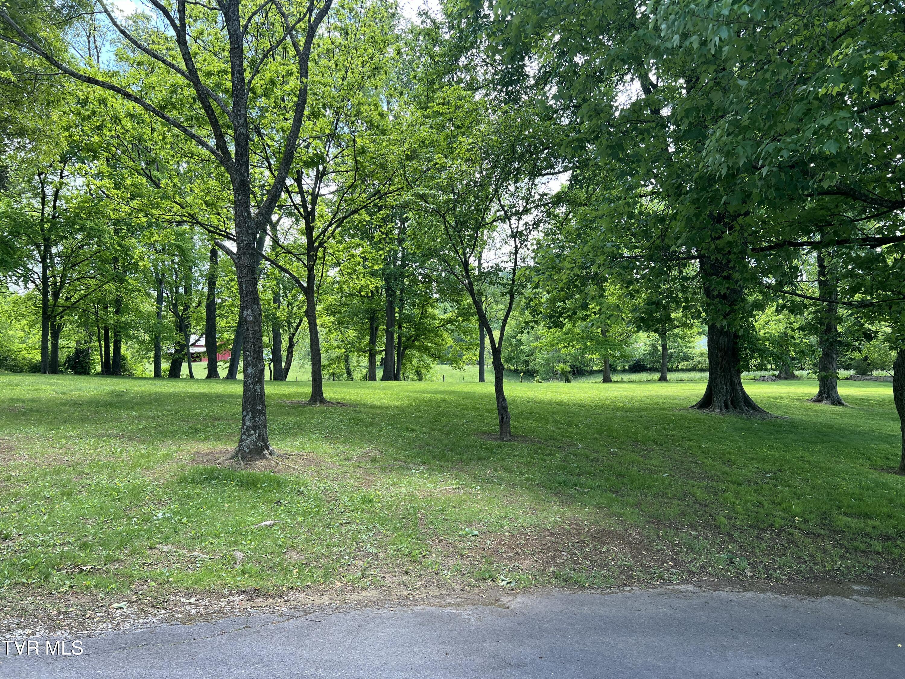 898 Jordan Road Elizabethton, TN 37643 - Photo 3 of 98 IMG_4553