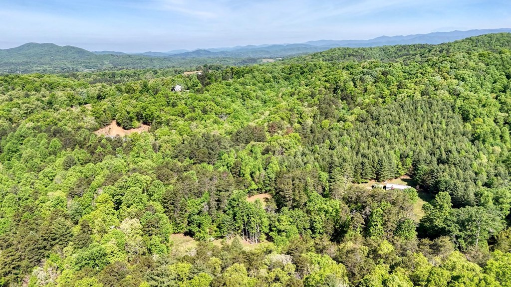 1493 Greasy Creek Road Brasstown, NC 28902 - Photo 46 of 51