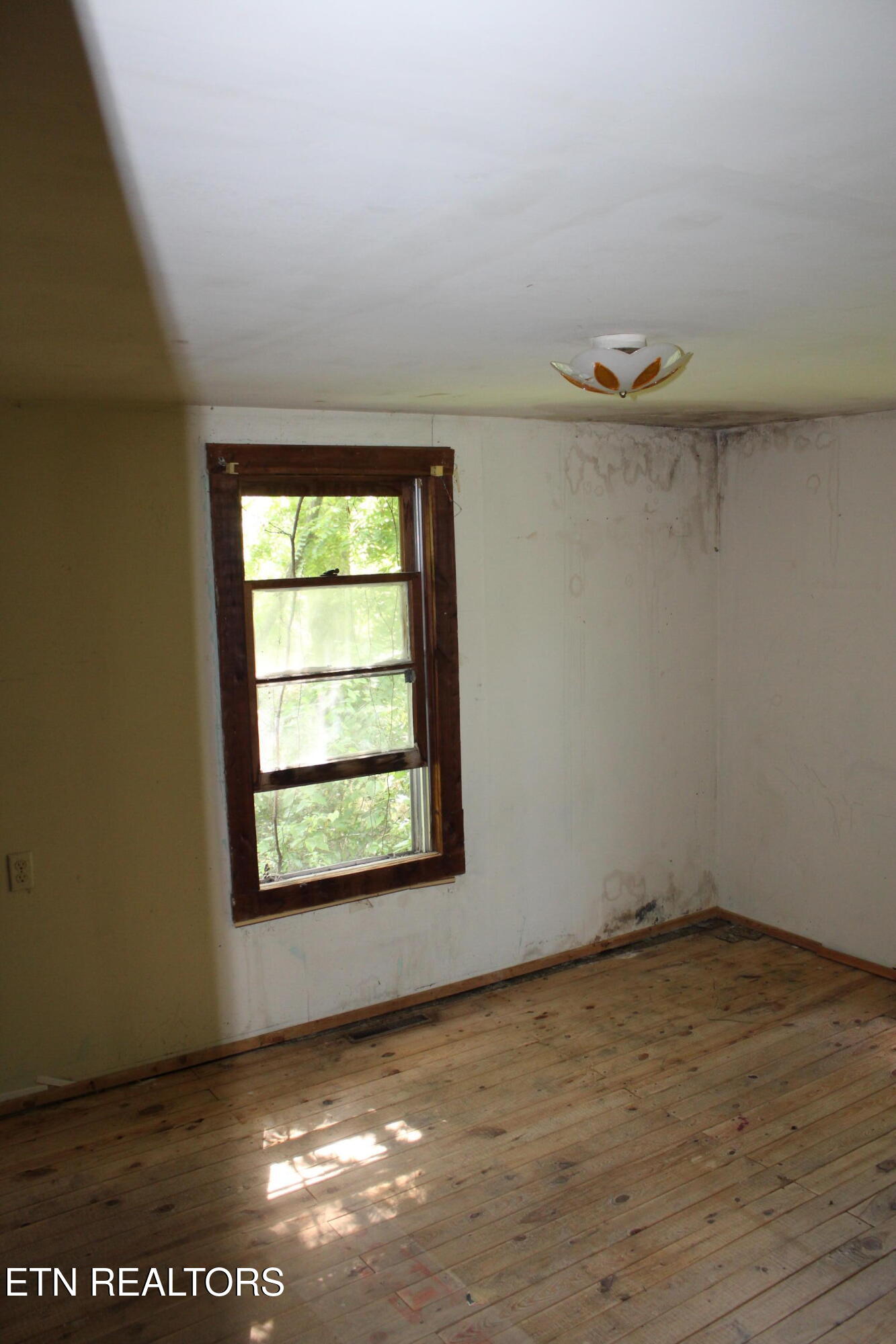 704 Annadel Road Lancing, TN 37770 - Photo 24 of 39 024