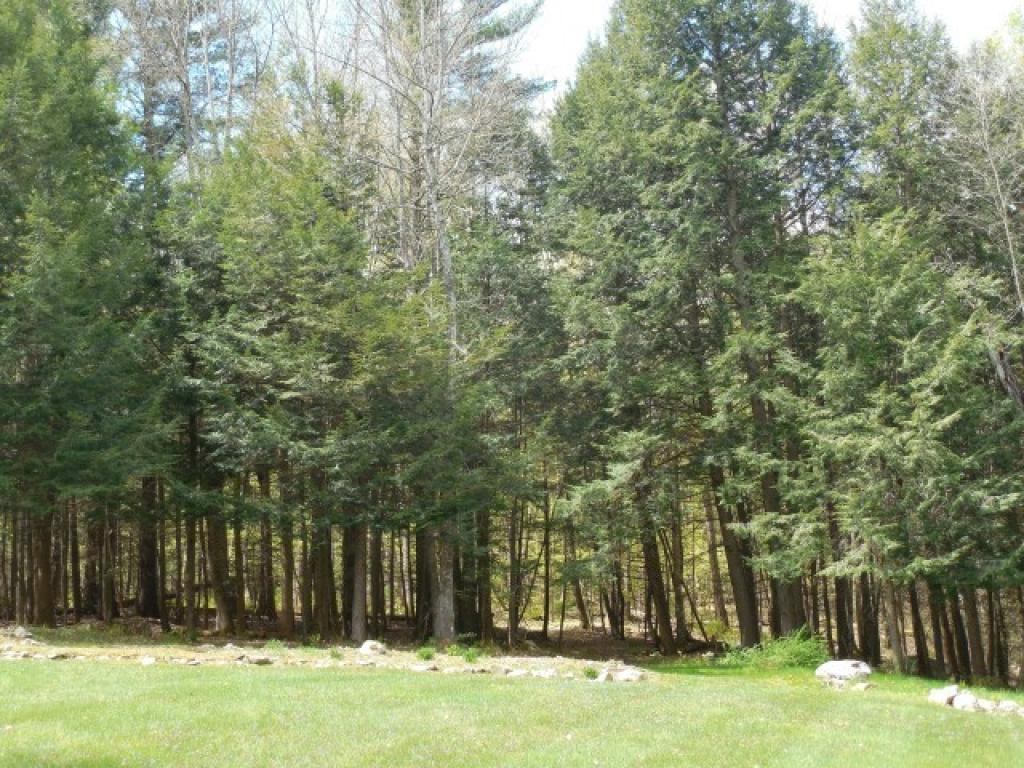 264 Campbell Road Rutland Town, VT 05736 - Photo 28 of 36