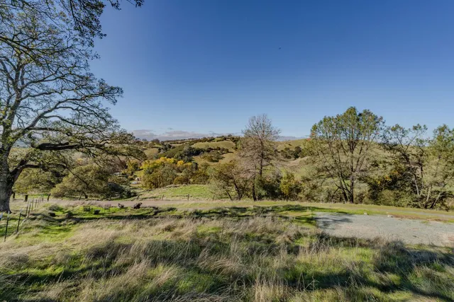 a view of a yard with a tree