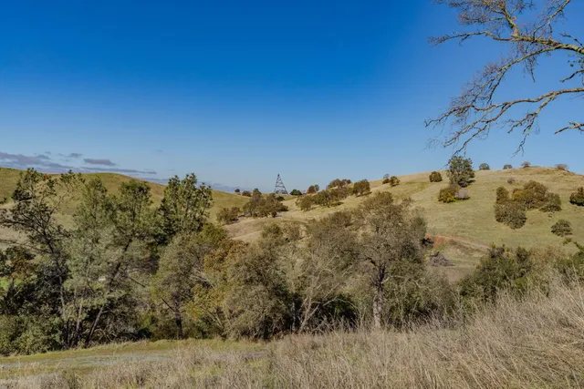 a view of a dry yard with wooden fence