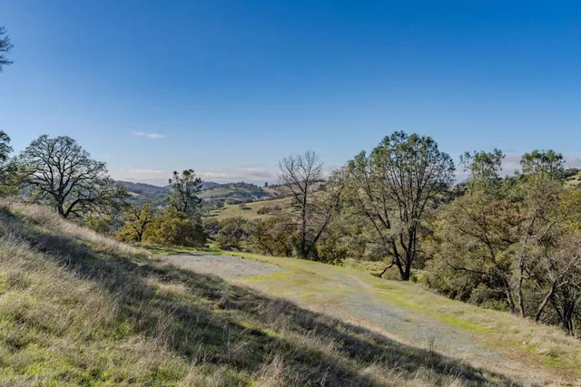 a view of a yard with trees