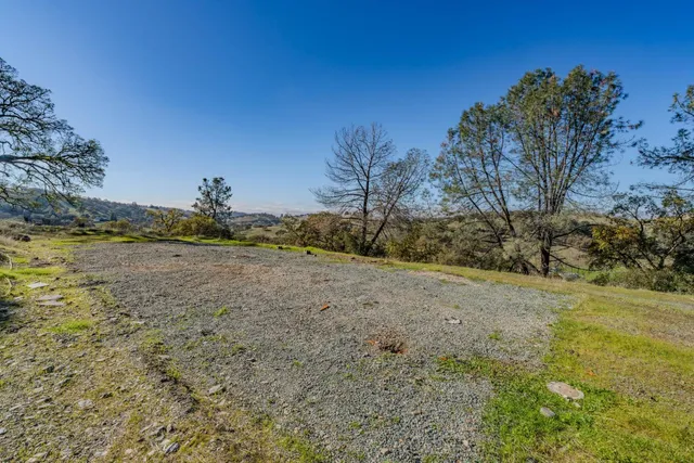 a view of a dry yard with trees