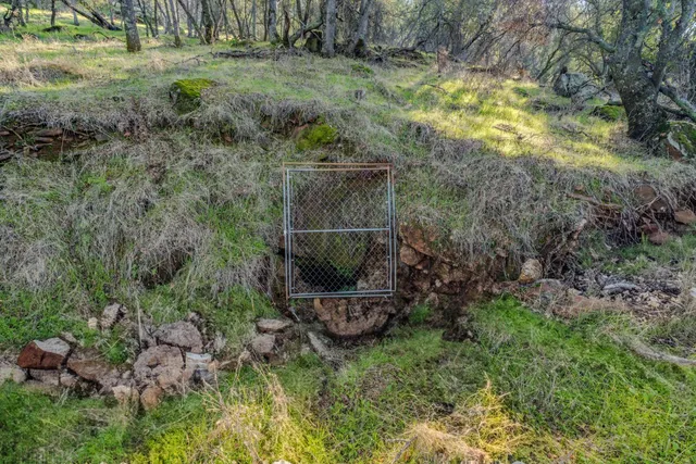 a view of yard with green space